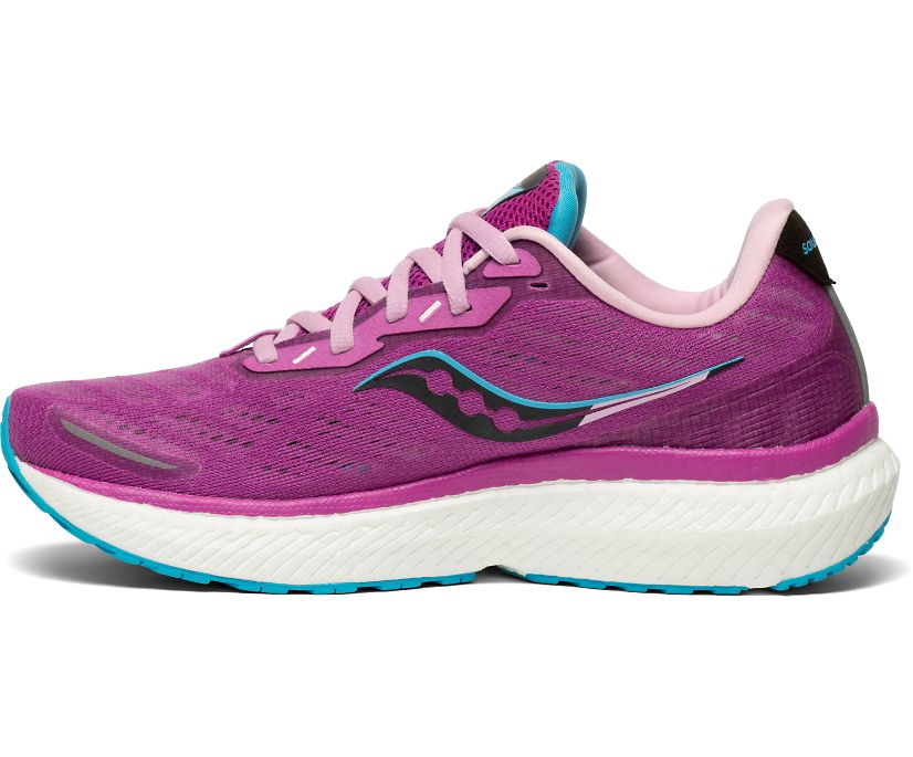 παπουτσια για τρεξιμο γυναικεια Saucony Triumph 19 μωβ | CQVHDJ930